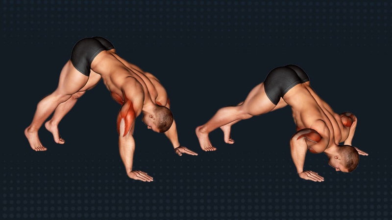 Pike push-up: Bài tập tăng cường sức mạnh vai tối ưu 1