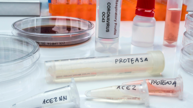 Protease: Vai trò quan trọng trong hỗ trợ tiêu hóa, chống viêm 2