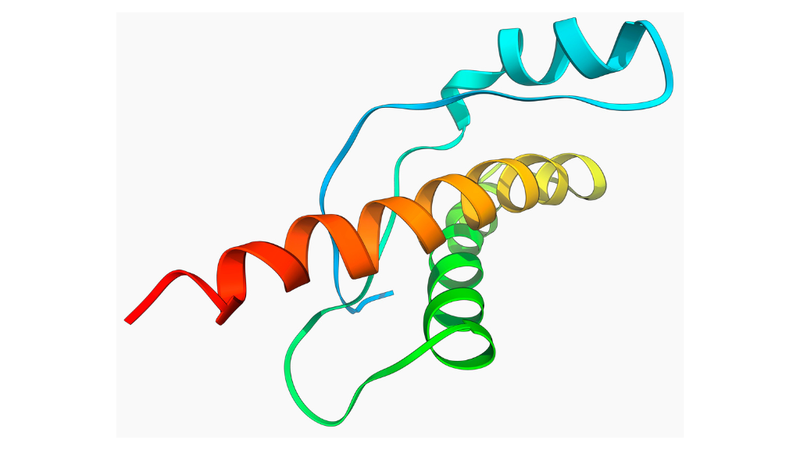 protein-co-tan-trong-nuoc-khong 1