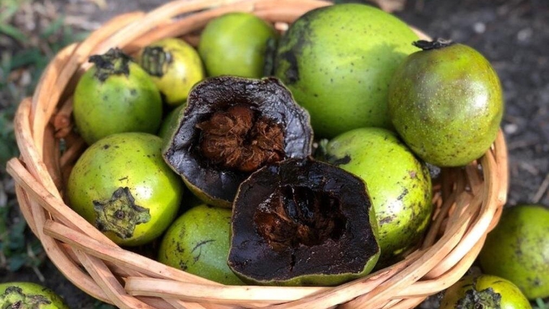 Quả hồng socola có tác dụng gì với sức khỏe 3