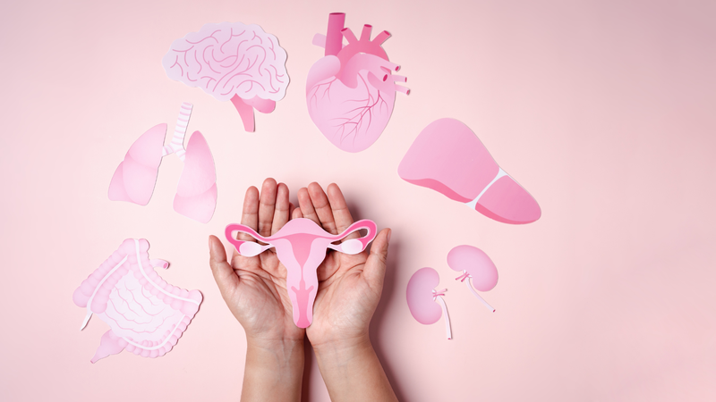 Ra huyết trắng nhiều là sắp có kinh hay có thai? Dấu hiệu và lời khuyên hữu ích 2