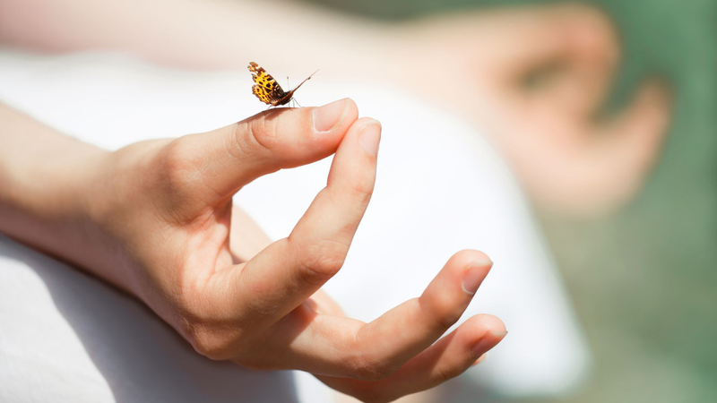 Raja Yoga là gì? Hướng dẫn thực hành từng bước cho người mới 4