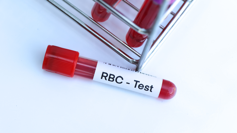 Hiểu rõ RBC trong xét nghiệm máu là gì giúp bạn chủ động hơn trong việc theo dõi sức khỏe