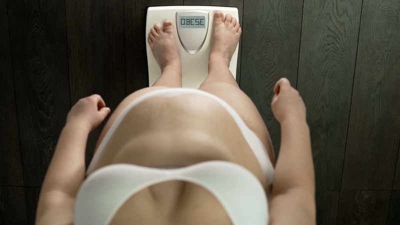 Rối loạn chuyển hóa gây béo phì có đúng hay không? Biện pháp điều trị rối loạn chuyển hóa 2