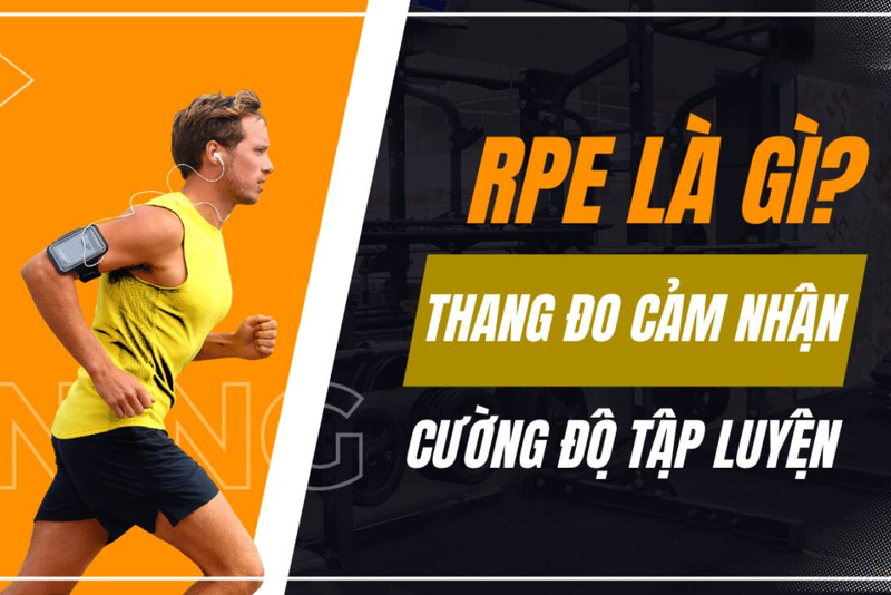 RPE là gì? Ứng dụng của RPE? Lợi ích và hạn chế khi sử dụng RPE 1