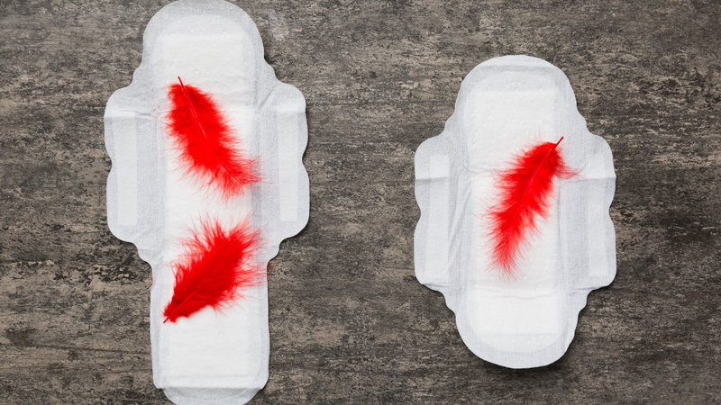 Trả lời cho câu hỏi sản dịch là gì