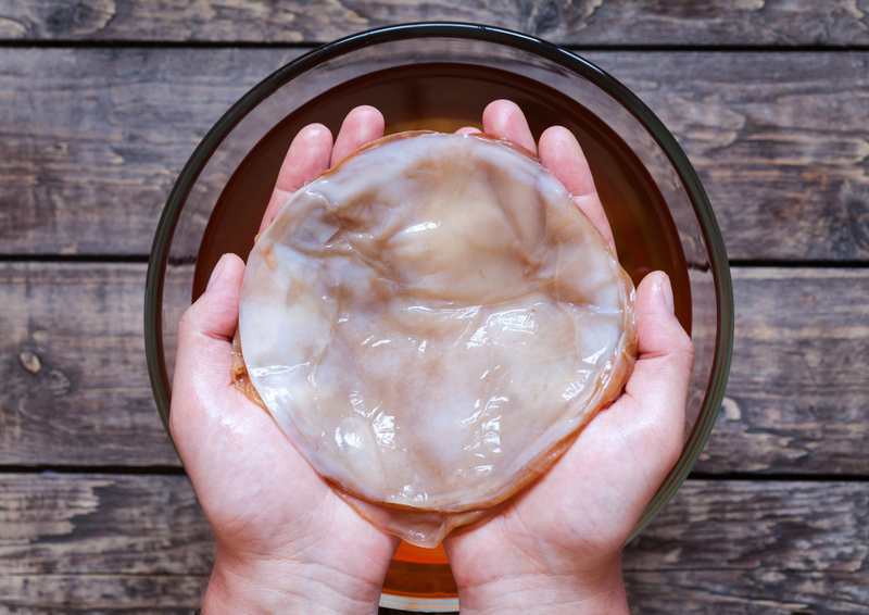 Scoby là gì? Tác dụng và cách nuôi Scoby tại nhà 1