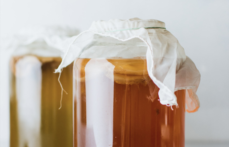 Scoby là gì? Tác dụng và cách nuôi Scoby tại nhà 4