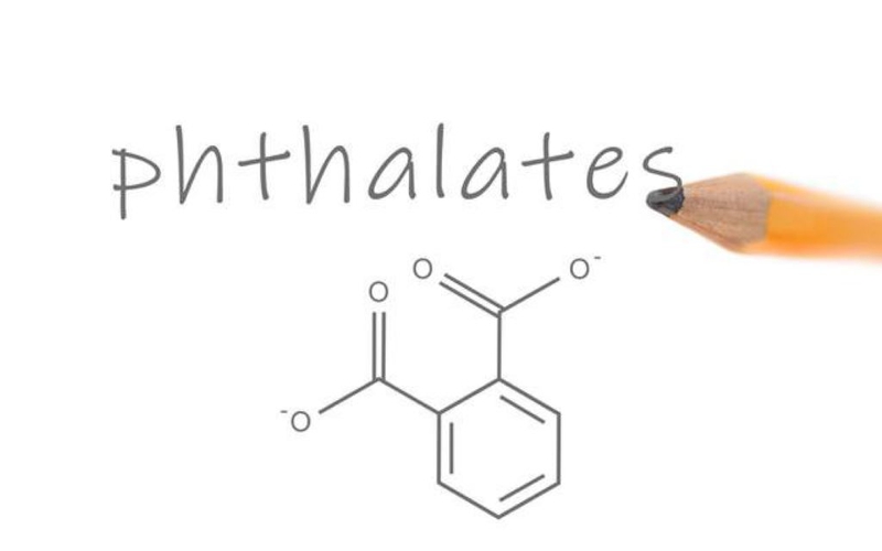 Phthalates là gì? Phthalates có gây hại cho cơ thể không? 1