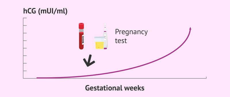 Giải đáp thắc mắc: Chỉ số Beta HCG thấp có ảnh hưởng đến sức khỏe thai nhi không?