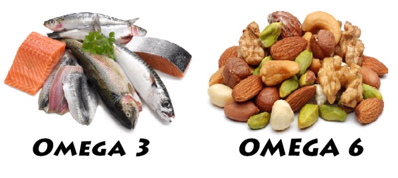 So sánh axit béo Omega-3 với Omega-6 trong chế độ ăn kiêng dựa trên thực vật 1