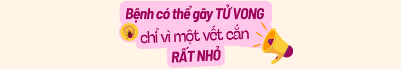 Sốt mò: Cần phát hiện sớm để tránh biến chứng nguy hiểm 7