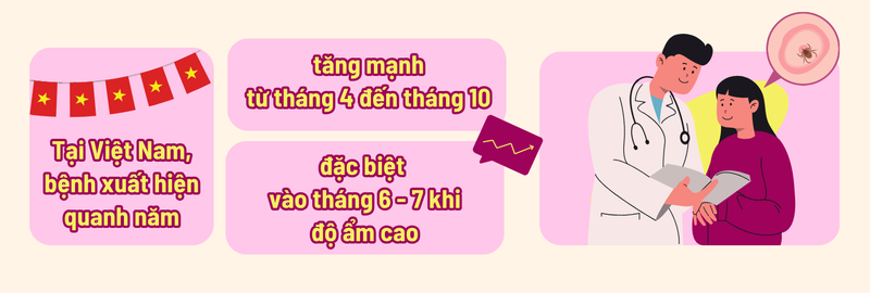 Sốt mò: Cần phát hiện sớm để tránh biến chứng nguy hiểm 4