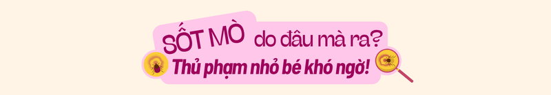 Sốt mò: Cần phát hiện sớm để tránh biến chứng nguy hiểm