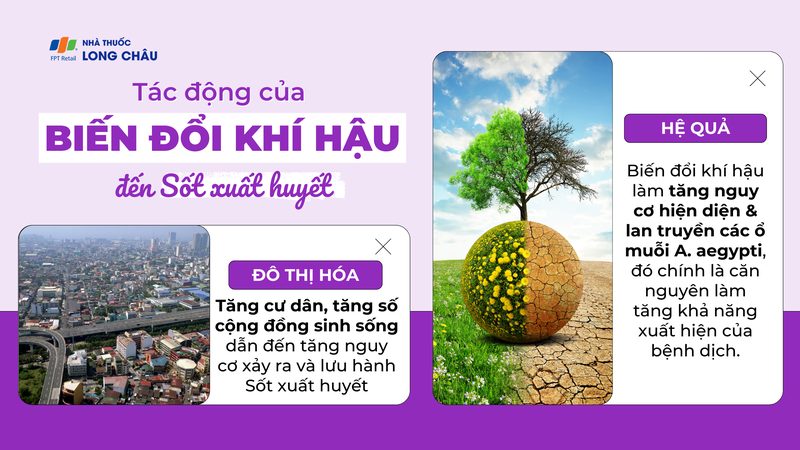 sot-xuat-huyet-5.png