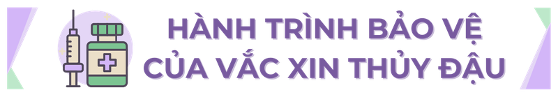 Sự cần thiết của việc tiêm phòng thủy đậu - Các bằng chứng khoa học về tính hiệu quả và an toàn của vắc xin h2 3