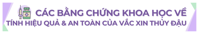Sự cần thiết của việc tiêm phòng thủy đậu - Các bằng chứng khoa học về tính hiệu quả và an toàn của vắc xin h2 4