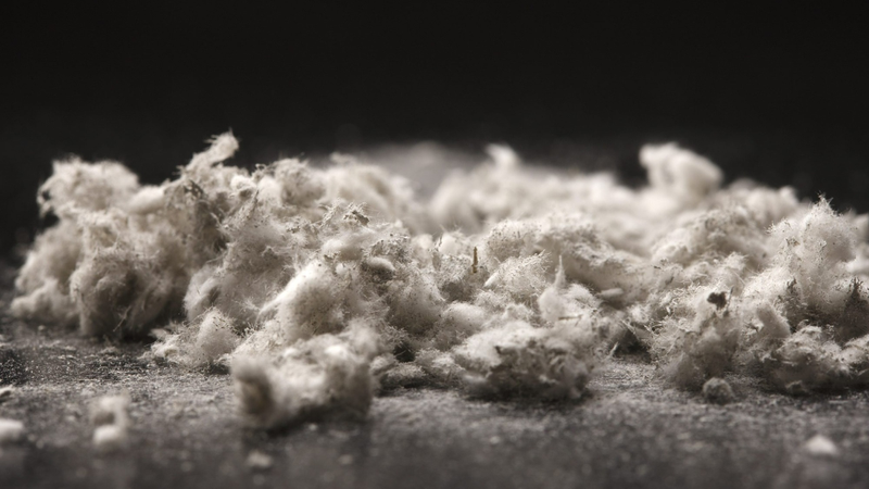 Bụi aminăng gây bệnh phổi mãn tính