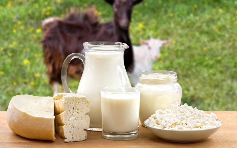 Sữa dê có chứa Lactose không? Lợi ích và rủi ro của sữa dê 2