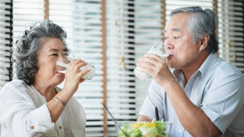 Sữa Ensure Gold StrengthPro - Dinh dưỡng chất lượng cho người cao tuổi 3