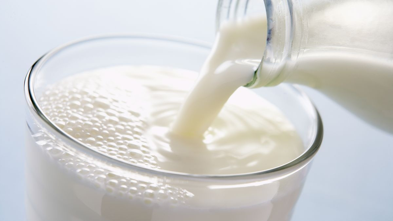 Sữa gầy là gì? Tìm hiểu thông tin về sữa gầy 1