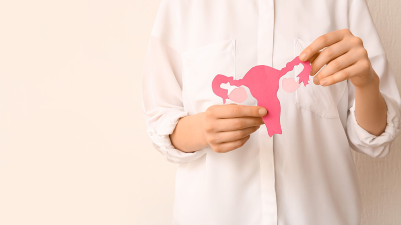 Suy giảm nội tiết tố nữ: Nguyên nhân và dấu hiệu nhận biết 1