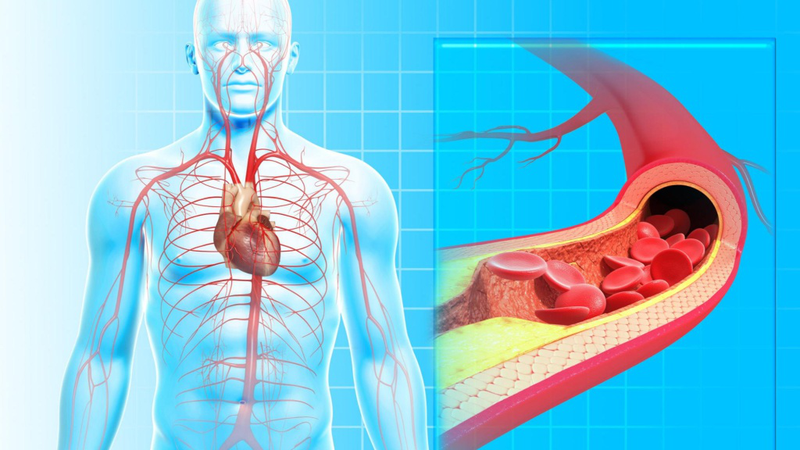 Suy tim thể ấm ướt: Hiểu rõ tình trạng và các phương pháp điều trị 1