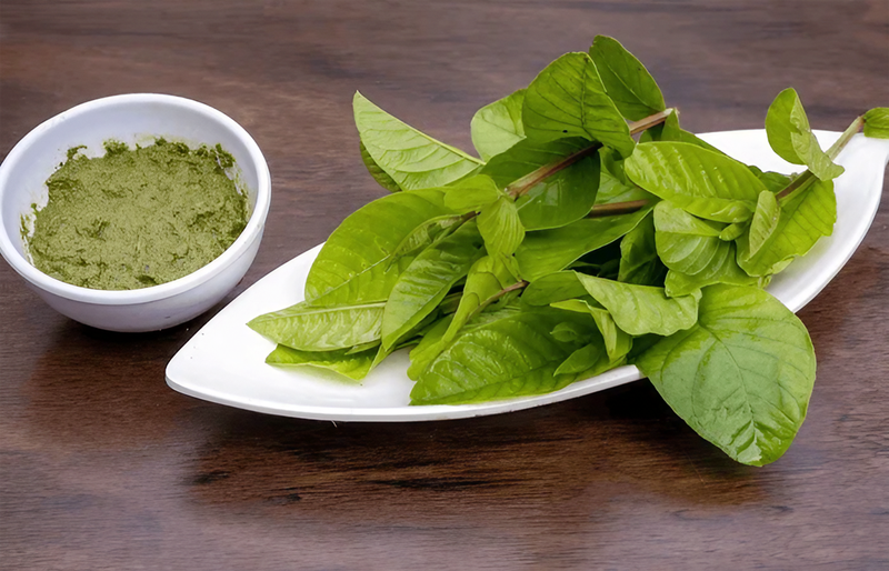 Tác dụng của lá ổi với da là gì? Lưu ý khi sử dụng - 4