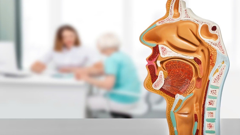 Tại sao trào ngược dạ dày gây nghẹt mũi? 2