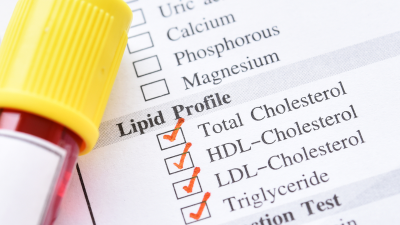 Tăng lipid máu là gì? Nguyên nhân nào gây ra tăng lipid máu? 6