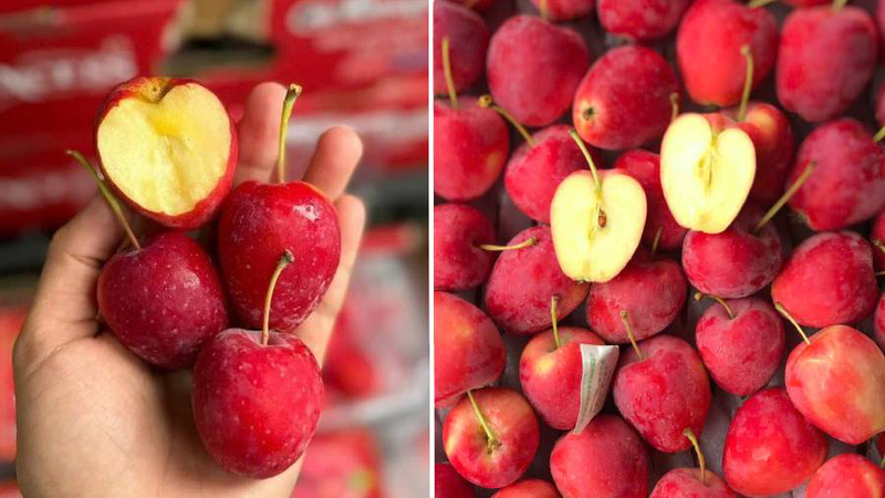 Trái chín ngon có màu đỏ sẫm tự nhiên, đều màu, cứng vừa phải, vỏ bóng