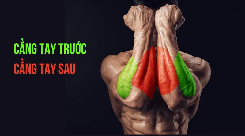 Top bài 10 tập cẳng tay với tạ đơn​ dễ thực hiện mỗi ngày 4