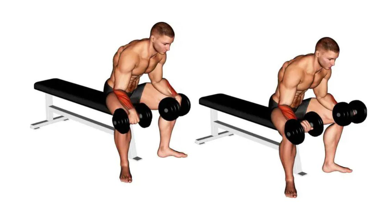 Top bài 10 tập cẳng tay với tạ đơn​ dễ thực hiện mỗi ngày 2