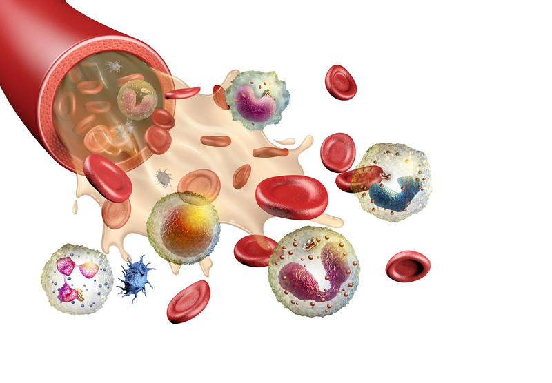 Tế bào gốc là gì? Nguồn gốc, ý nghĩa và khả năng chữa bệnh của tế bào gốc 1