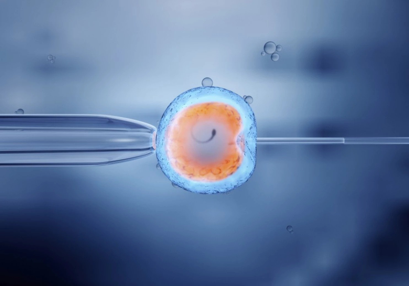 Tế bào gốc trưởng thành là tế bào như thế nào? -3