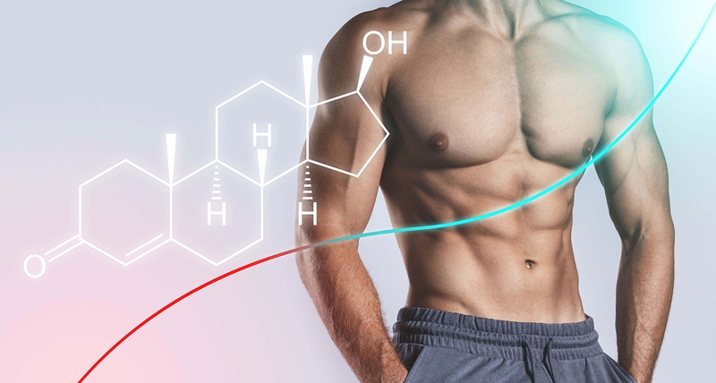 Testosterone được sinh sản ra ở đâu? Vai trò của Testosterone 1