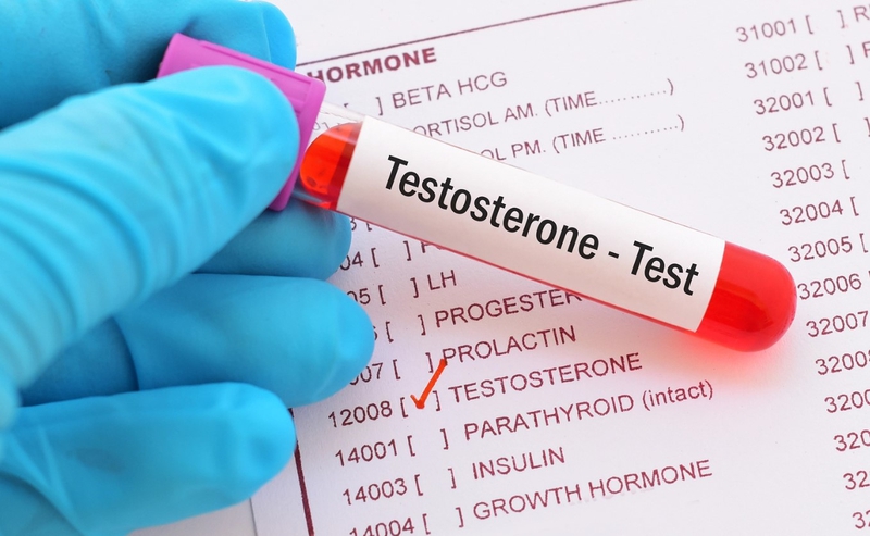 Testosterone được sinh sản ra ở đâu? Vai trò của Testosterone 4