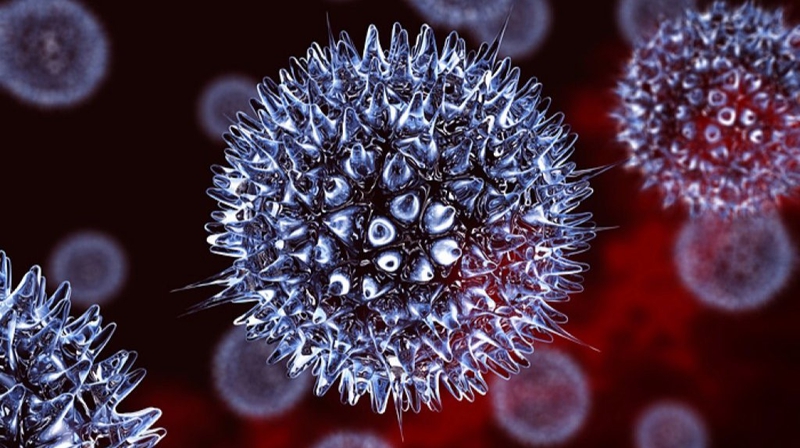 Thắc mắc: Virus Herpes là gì? Virus Herpes gây bệnh gì? 5