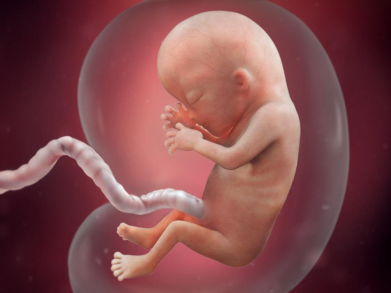 Thai nhi mọc chồi ở mặt: Đặc điểm siêu âm, nguyên nhân và mức độ nguy hiểm 2