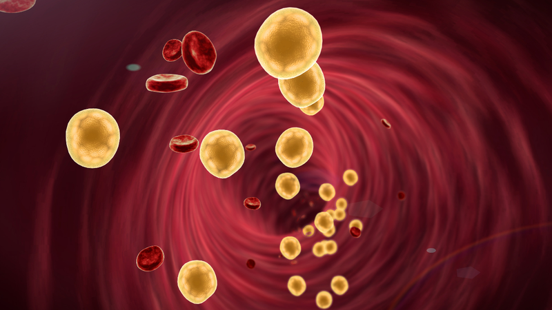 Thịt gà có nhiều cholesterol không? Những loại thịt có hàm lượng cholesterol thấp 1