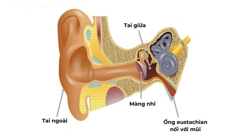 Thủng màng nhĩ có chữa được không​? Thủng màng nhĩ do đâu? 1