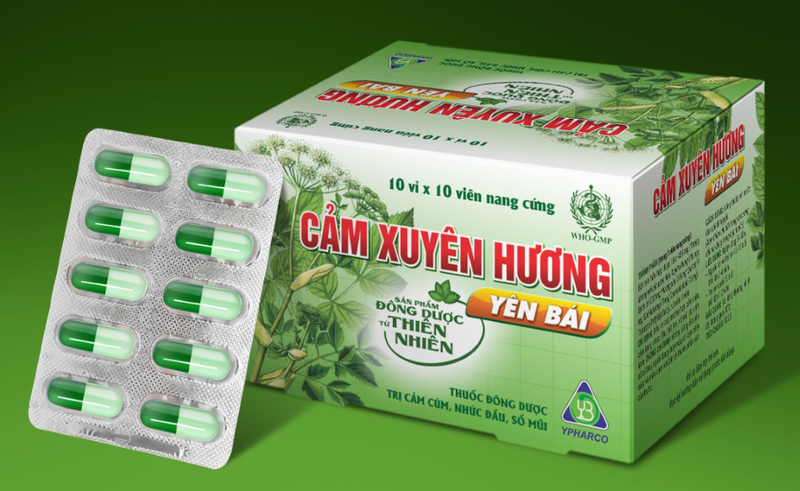 Mang Thai Có Được Uống Thuốc Cảm Cúm Không? Những Điều Mẹ Bầu Cần Biết