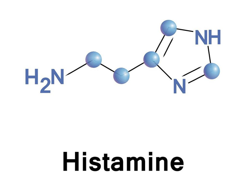 Thuốc kháng histamin là gì? Thuốc có tác dụng phụ nghiêm trọng không? 2