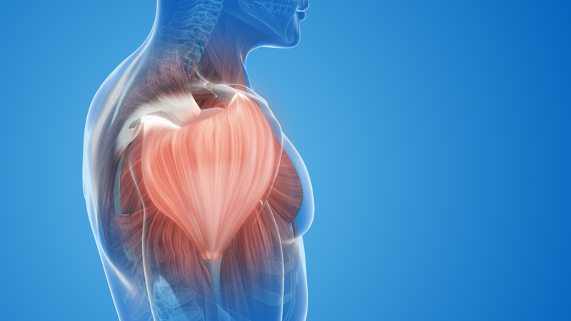 Thuốc tăng cơ​ và một số điều người dùng cần biết4
