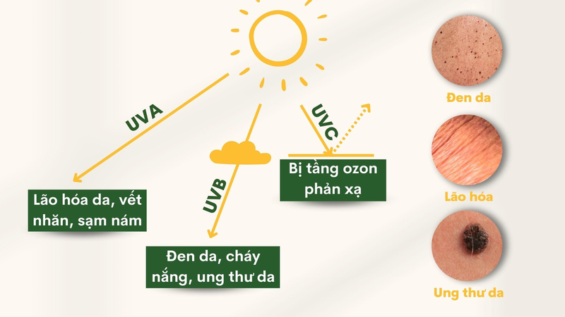 Tia UV có mấy loại và ảnh hưởng sức khỏe của từng loại là gì? -2