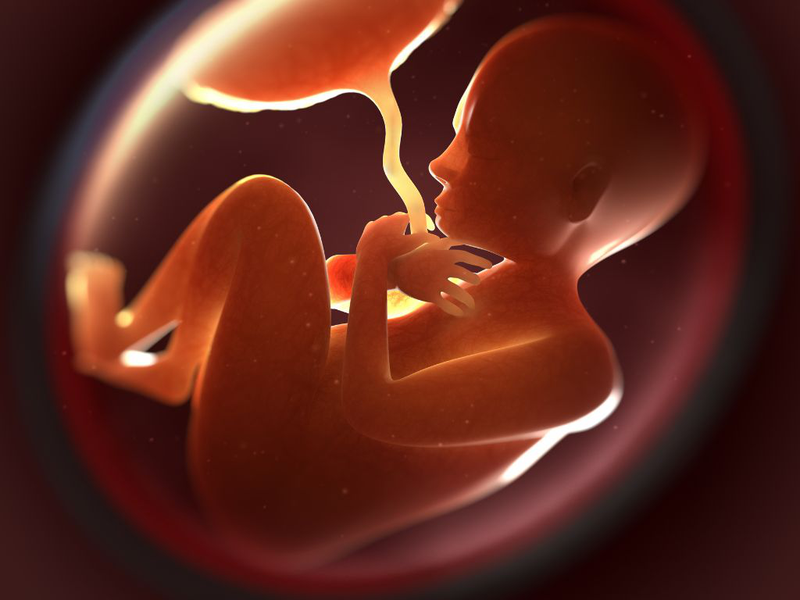 Tiêm phòng cúm cho bà bầu ở đâu​? Những lưu ý khi tiêm phòng cúm cho bà bầu 1
