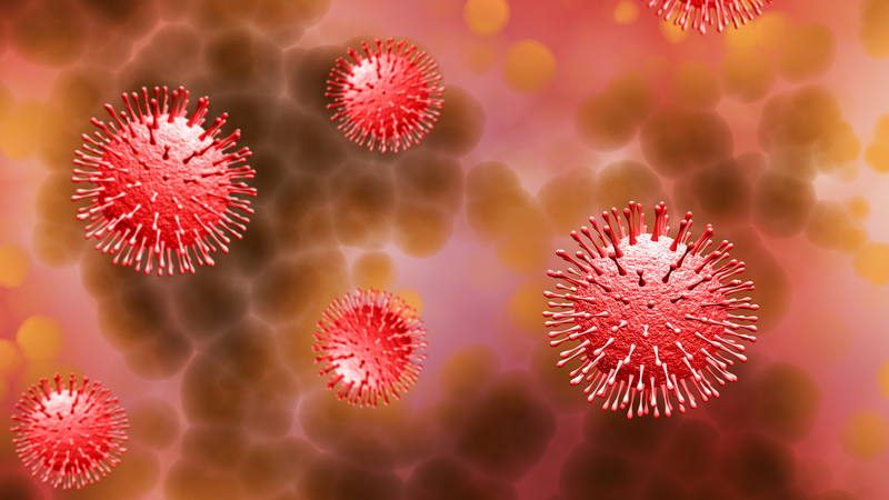 tiem-vac-xin-gardasil-o-dau-tai-quan-hai-ba-trung-an-toan-va-hieu-qua-2.png