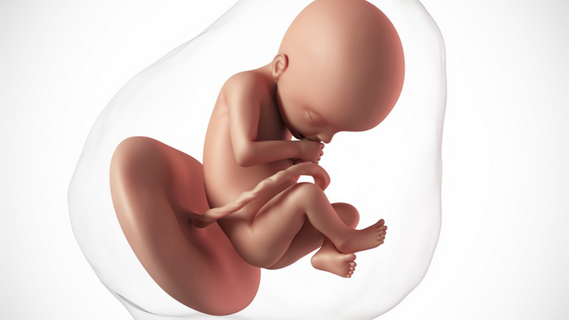 Tiểu đường thai kỳ tuần 36 là gì và mẹ cần làm gì khi bị tiểu đường thai kỳ? 2