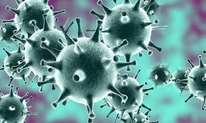 Tìm hiểu tế bào miễn dịch là gì? Phân loại và vai trò quan trọng của tế bào miễn dịch 3