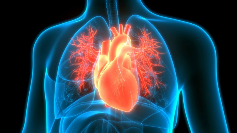tìm hiểu thông tin về viêm màng ngoài tim cấp 2